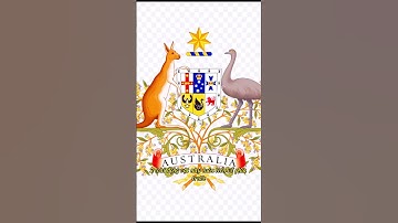 🤯 Bí mật linh vật độc lạ của nước Úc#shorts #dulich #bimat