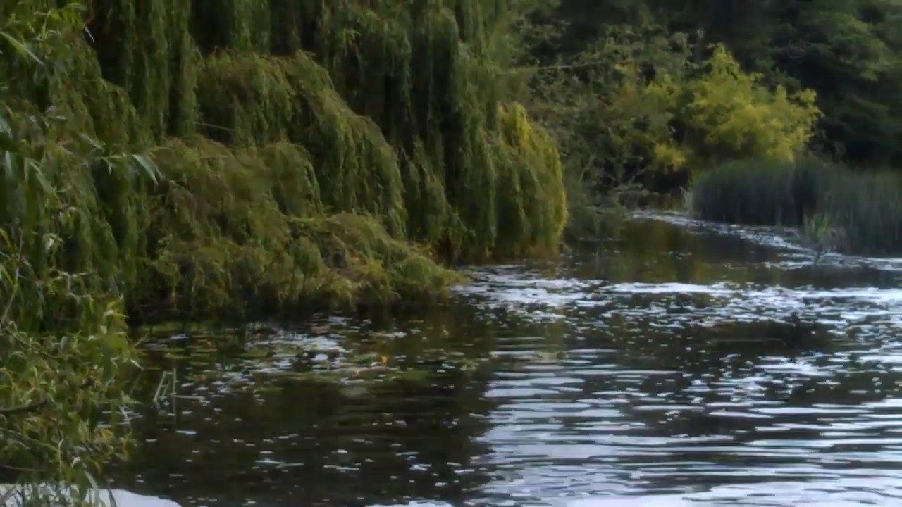 The wier pool at Saxon mill river Avon Warwick UK YouTube