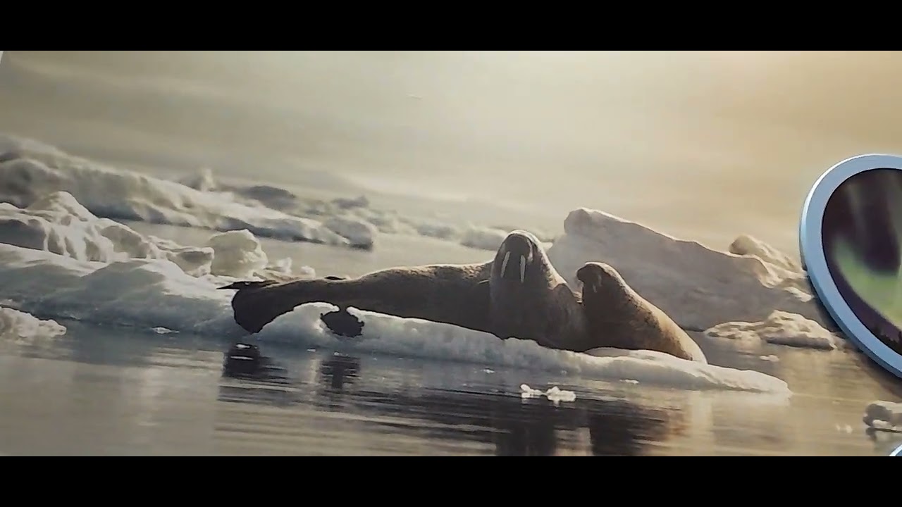 "Dinosaur 🦕🦖&Natural World Gallery  "(For  Anne 