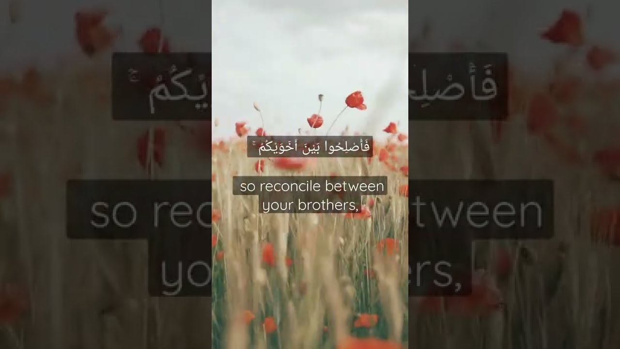 سورة الحجرات بصوت القارئ احمد العجمي✨