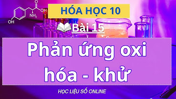 Hóa học 10: Bài 15- Phản ứng oxi hóa khử