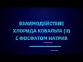 Взаимодействие хлорида кобальта (II) с фосфатом натрия | ЕГЭ по химии