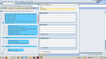 Class 46  SAP FICO daily morning Financial Statement Version