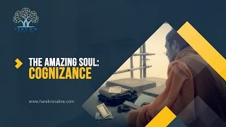 #10 The Amazing Soul - Intuitive Essential Nature of the Soul - Cognizance