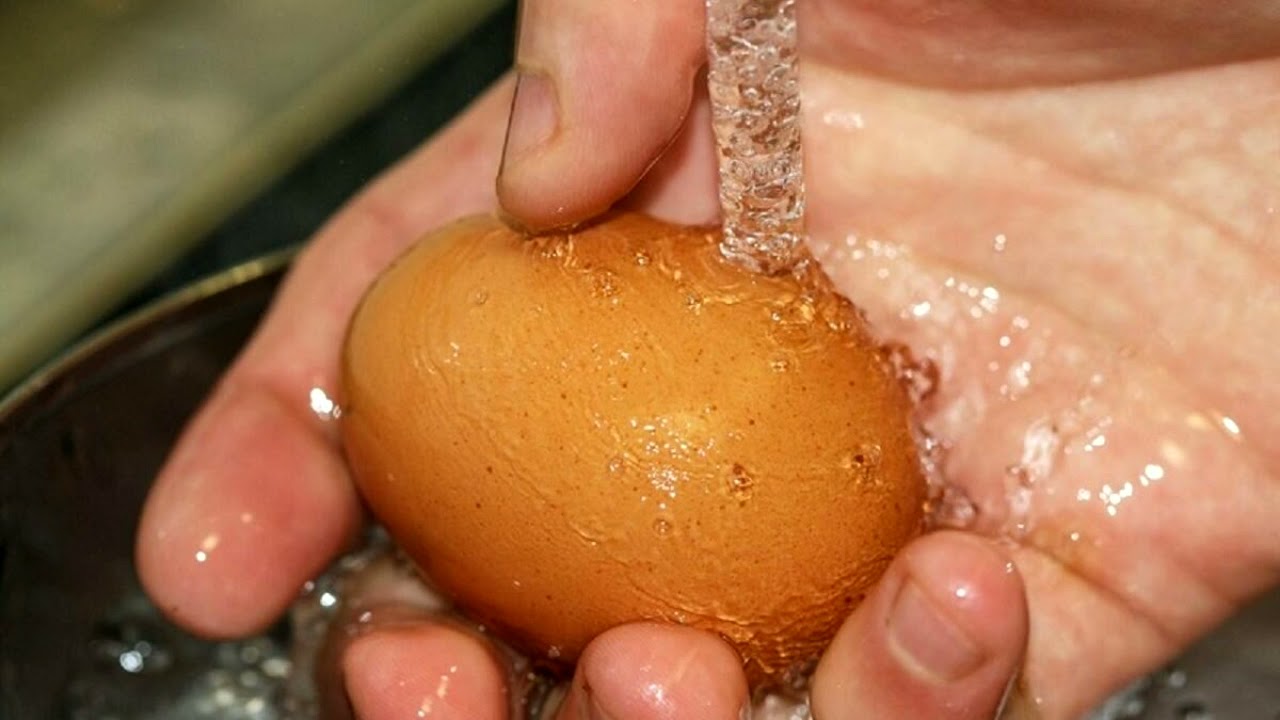 Яйца грязные можно ли их мыть. Мытье яиц. Мытые яйца. Помыть яйца. Помыть куриные яйца.