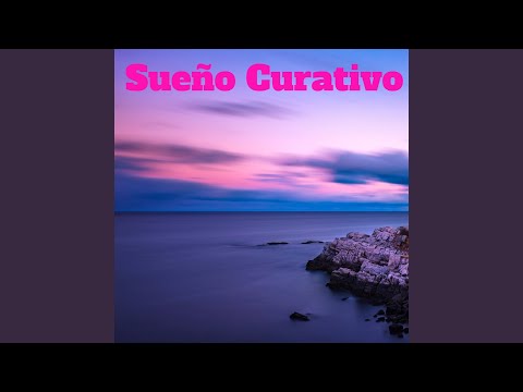 Bienvenido de Nuevo