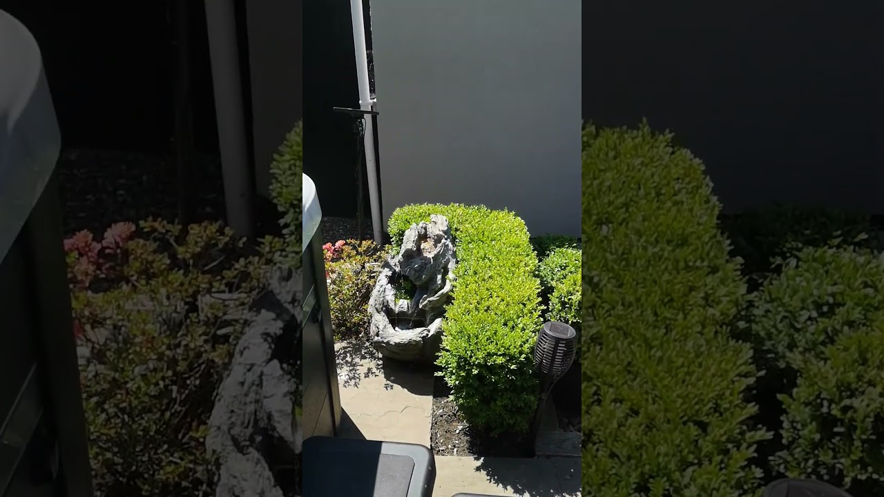 The sound of relaxation 