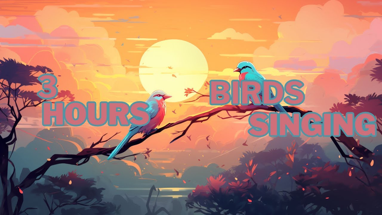 Avian Harmony: 3 Hours of Enchanting Birdsong 🐦
