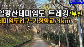 일광산 영상