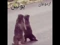 امجد ابومحمد السراقبي امجد ابومحمد السراقبي