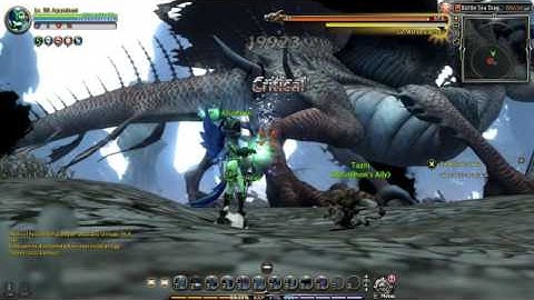 1st Sole Battle Sea Dragon Nest
