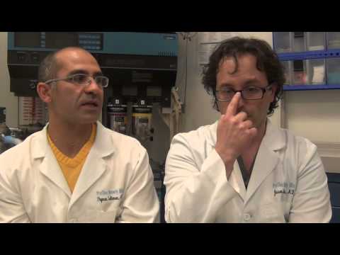 Facial Plastic Surgeon Beverly Hills -  Best Surgeon For Rhinoplasty & Septoplasty