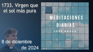 Meditación De Hoy Domingo 8 Diciembre 2024 Evangelio De Hoy Don José Brage Meditaciones Diarias