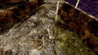Campath Test