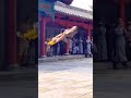 Shaolin monk kungfu show  chinese kung fu