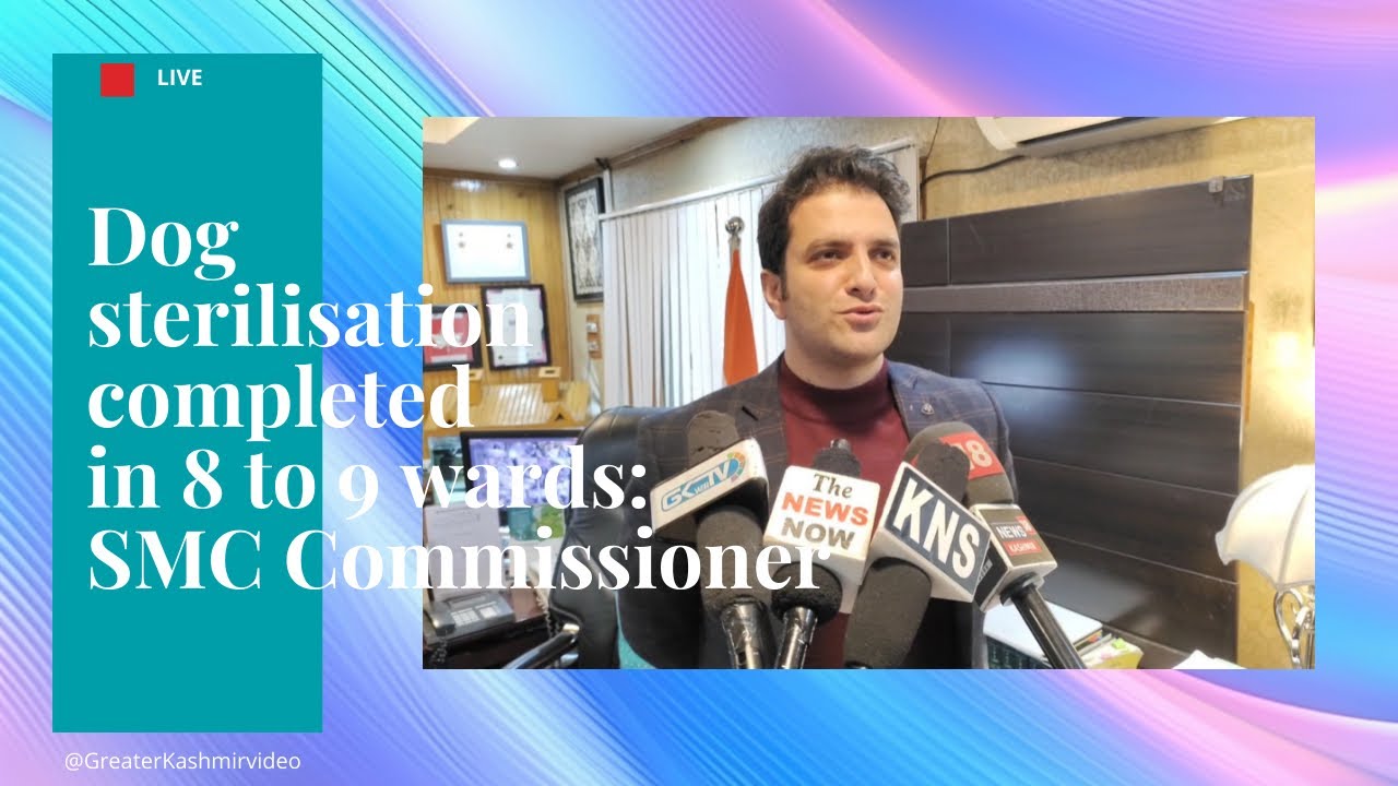 Dog sterilisation completed in 8 to 9 wards SMC Commissioner YouTube