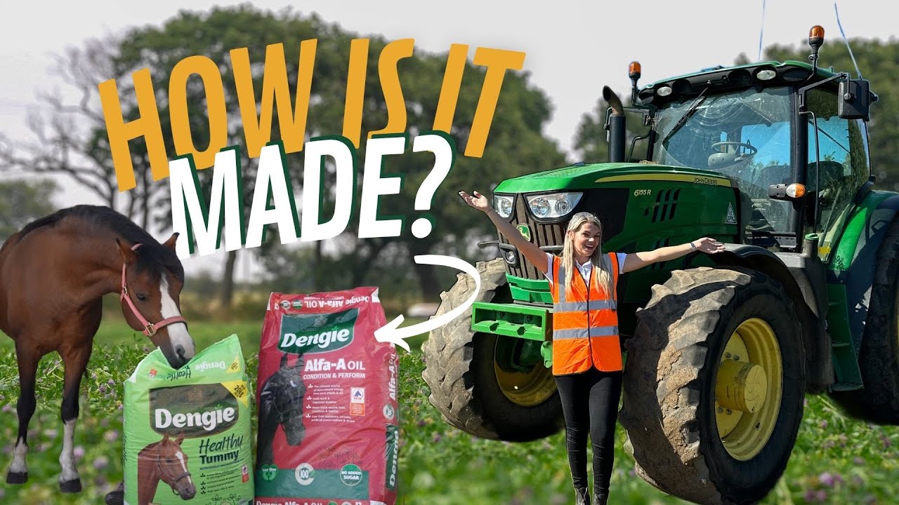 HOW IS HORSE FEED MADE? YouTube