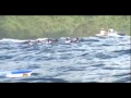 Tahiti nui vaa 2011part1avi