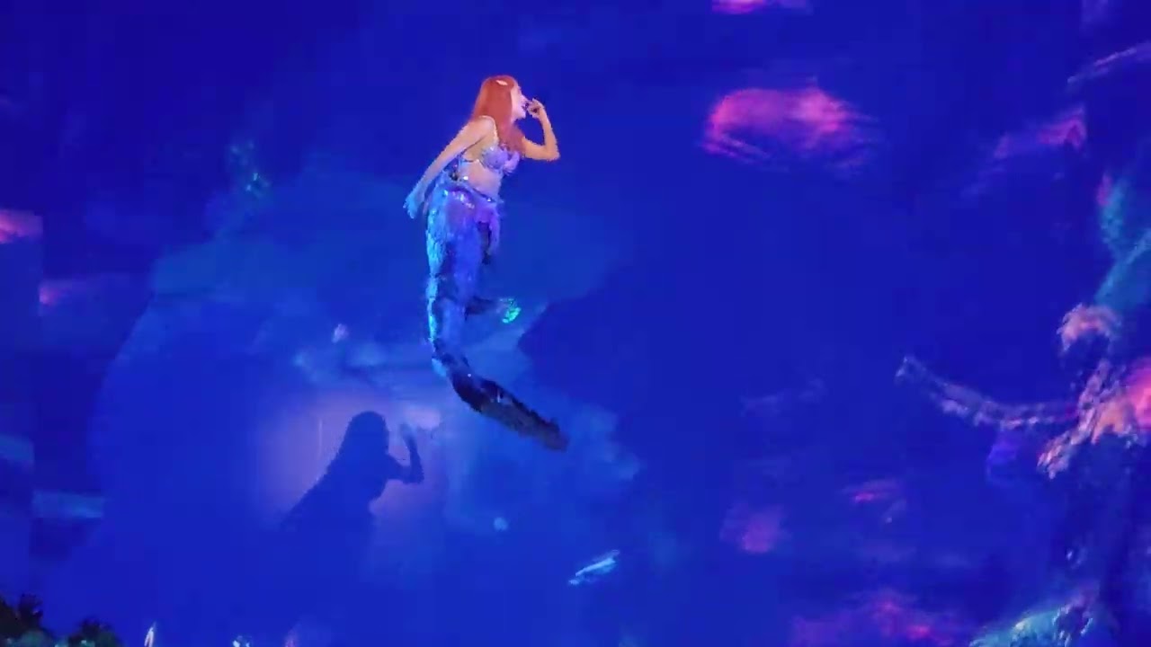 La Sirenita - Parte de él - Teatro Gran Rex - Junio 2025