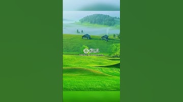 تلاوة جميلة #للقارئ #حاتم_المالكي..متابعة للحساب بارك الله فيكم #ضع_بصمة #القرآن_الكريم #اكسبلور