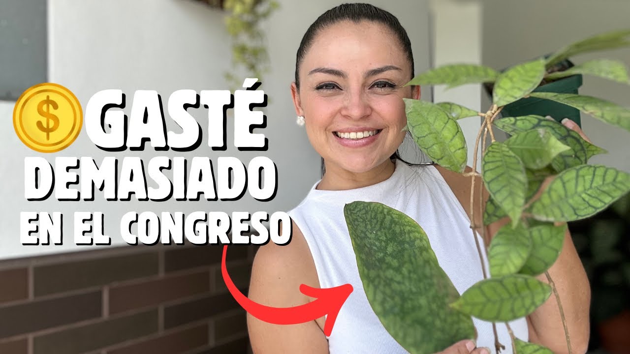 💸COMPRAS que realicé en el congreso de CACTUS Y SUCULENTAS 2025, ¿Valió la pena? 🙈