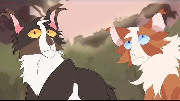 i bet on losing dogs p.12