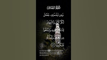 سورة القصص ومن رحمته جعل لكم الليل والنهار لتسكنوا فيه ولتتبتغوا من فضله الاية ٧٢