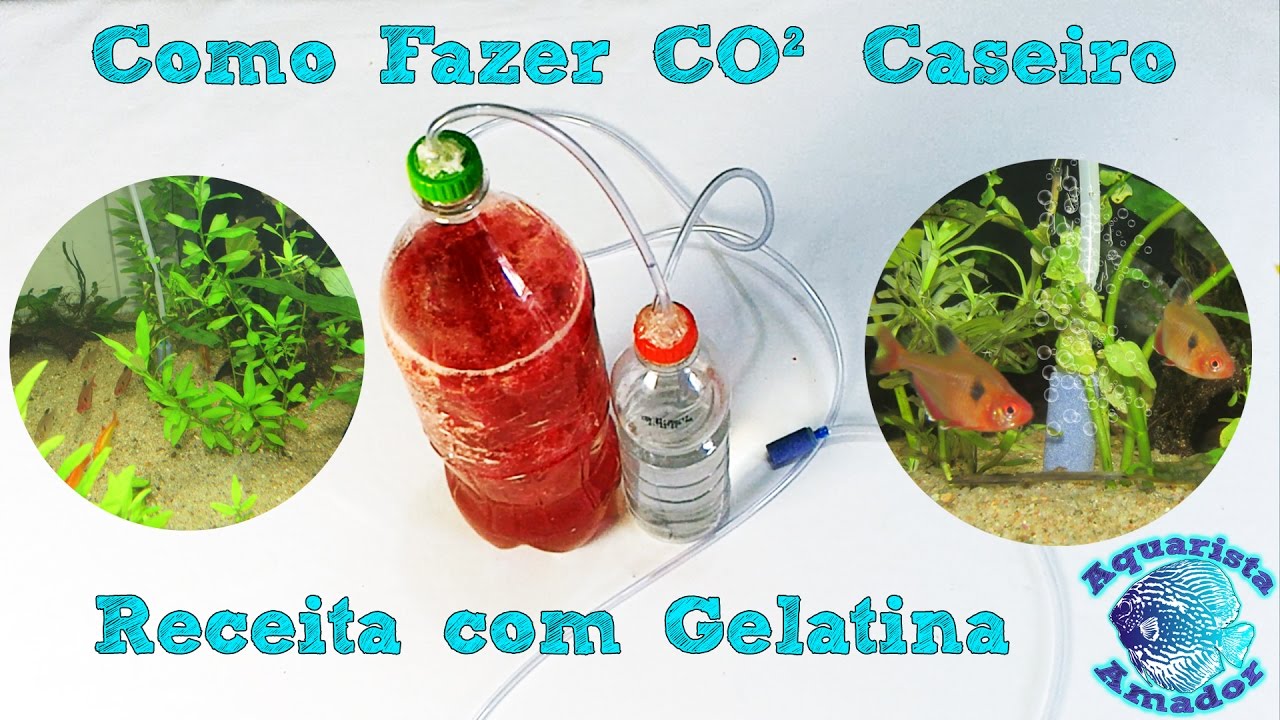 Como fazer CO2 caseiro com gelatina DIY