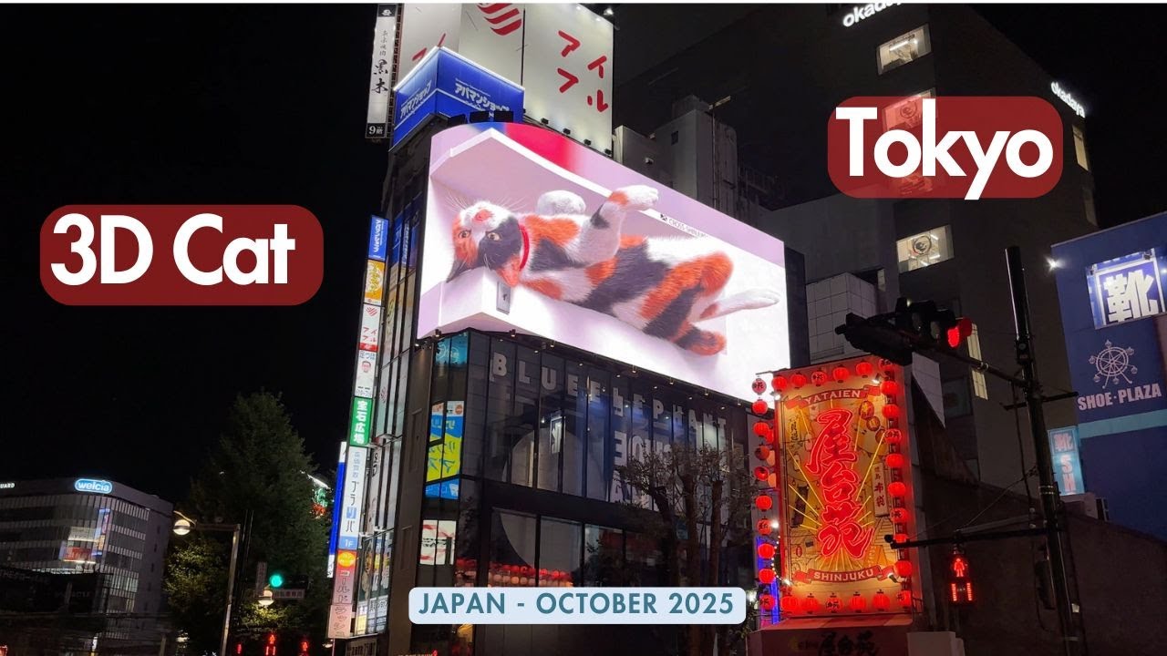 🇯🇵 3D Cat, Tokyo | Amazing Giant Billboard Animation