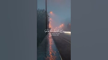ولئن سألتم من نزل ماء من السماء | عبدالرحمن مسعد | سوره العنكبوت