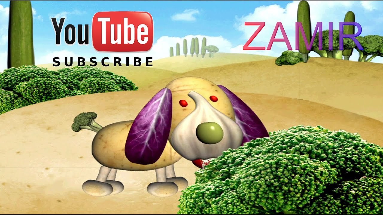 WHAT KIND OF ANIMAL VEGETABLE COULD BE IT IS A SWEET DOG THAT KNOWS WHAT KIND OF ANIMAL VEGETABLE COULD BE IT IS A SWEET DOG THAT KNOWS