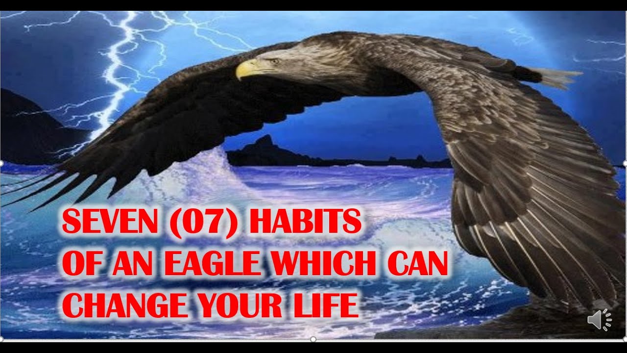 The Eagle Mentality Best Motivational Video,7 habits of Eagle Which
