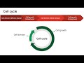 ICSE X Biology | Cell Cycle, its stages and Cell Division | #mitosis #celldivision #cellcycle