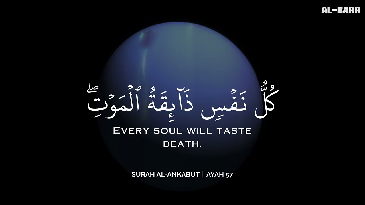 أرح سمعك.. تلاوة هادئة تريح القلب والعقل💜😴 | ساعة كاملة🕛🎧 القارئ محمد هشام | Mohamed Hesham