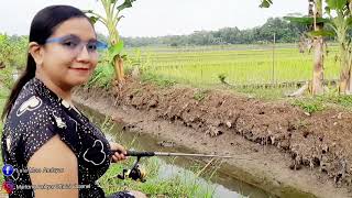 Mancing di sungai kecil sawah pedesaan di temani pemandangan yang indah