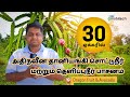 30 acres of smart irrigation &amp; Fertigation automation for dragon fruit and Avocado farm