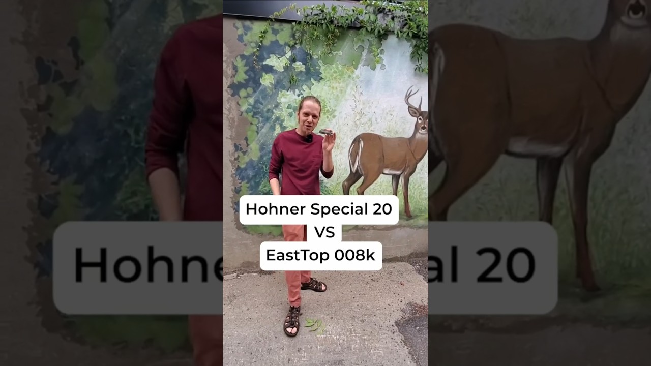Harmonica Hohner Special 20 vs EastTop 008k pour commencer à jouer ?