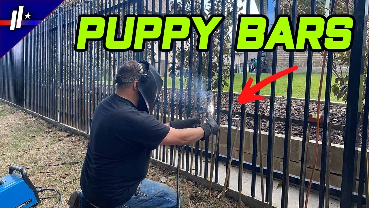 puppy bar installation on wrought iron fence in Allen 