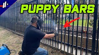 puppy bar installation on wrought iron fence in Allen #ironfence #diy #welding #construction