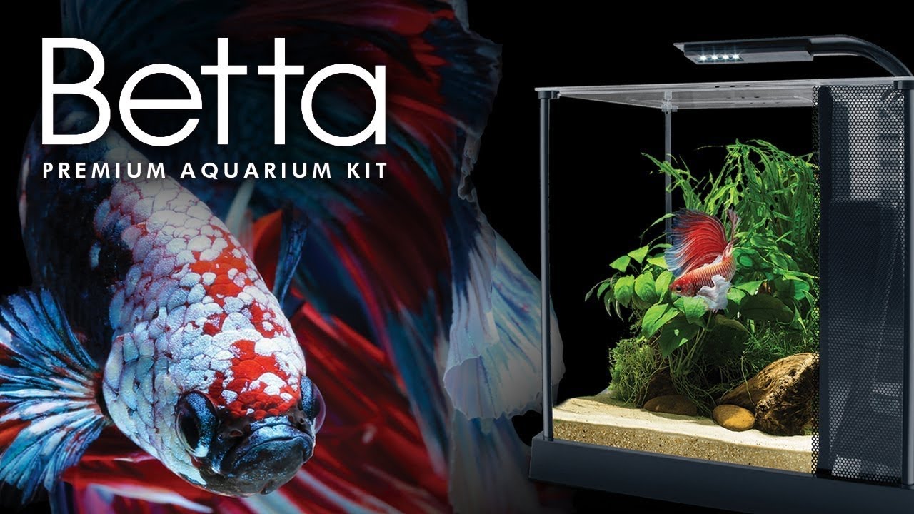 Fluval Betta Aquarium Unboxing YouTube