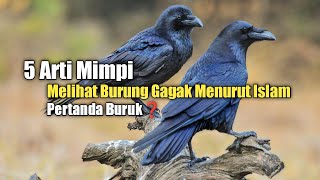 5 Meanings of Dreams About Seeing Crows According to Islam: A Bad Sign?