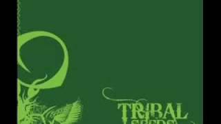 Tribal Seeds - Island Girl.mpeg