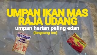king prawn carp bait