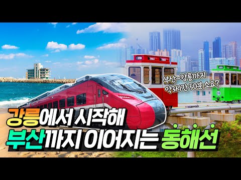 <strong>정동진</strong> 해돋이 보고 점심은 부산에서?!