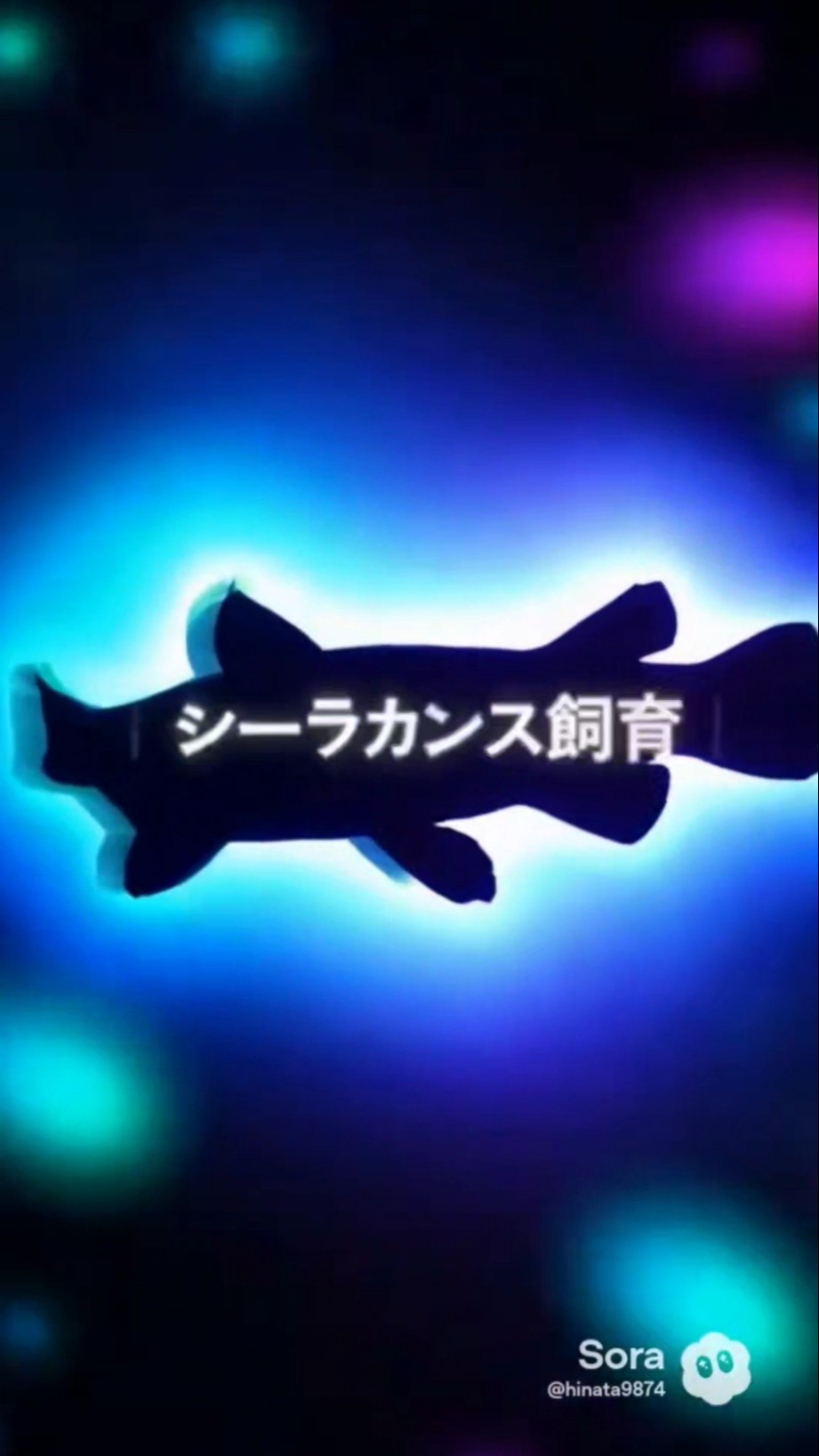 Keeping a Coelacanth! - YouTube