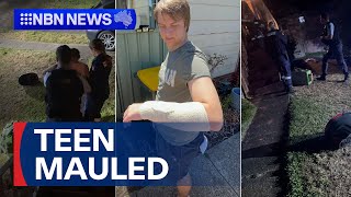 Three People Mauled By Out-Of-Control Dog 9 News Australia