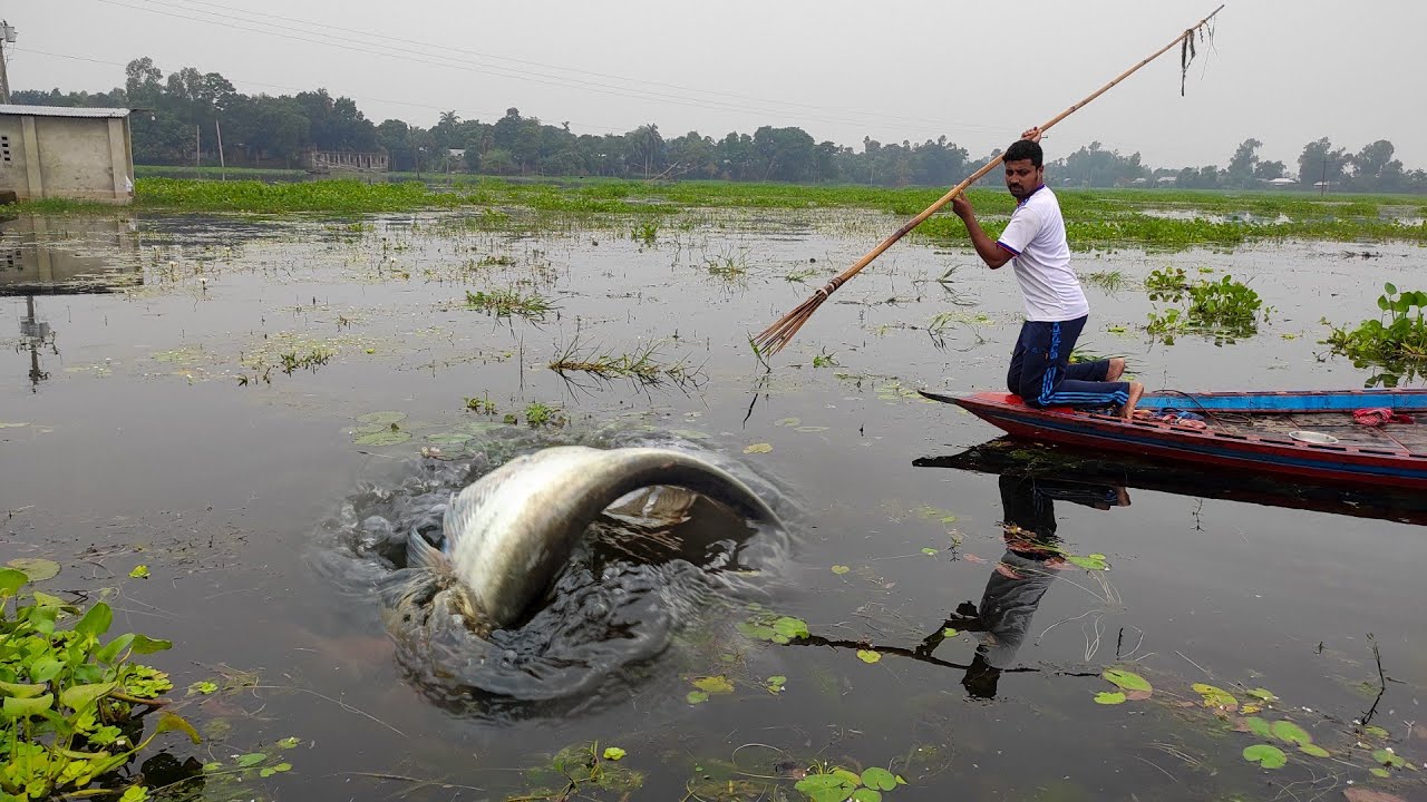 Best Bowfishing Moment 🐠 Fishing Katla Fish With Bamboo Crossbow 🐠 Unique Boat Fishing Caption.