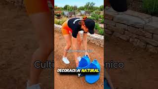 ¡Cosecha SIN TIERRA! 🥬 Aprende Hidroponía desde cero #shorts #hidroponía