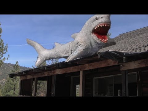 the-shark-scale:-land-shark-(not-the-snl-skit)