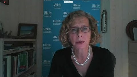 Preventing the Next Pandemic - UNEP & ILRI